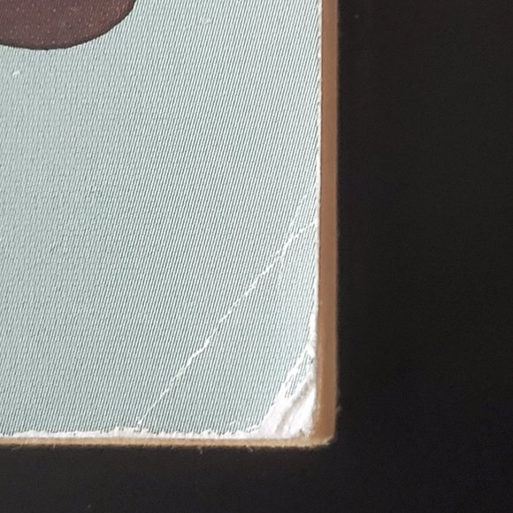 Bundle of 15 VINTAGE Goosebumps Books - Picture 11 of 11